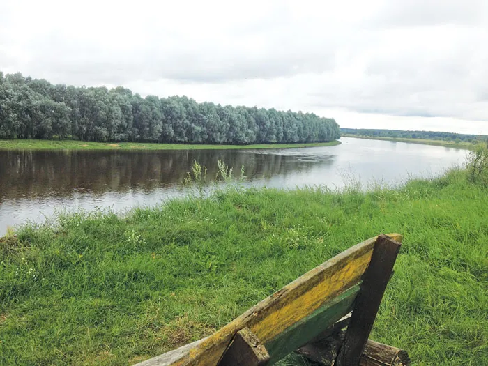 Адзінокая лава, дзе калісьці добра думалася Ул. Караткевічу. фото