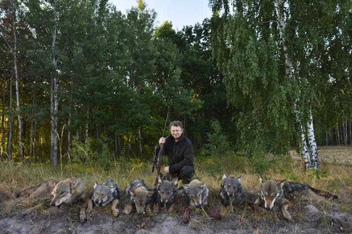 Войтех Кононович серьезно увлекается охотой на волка. фото