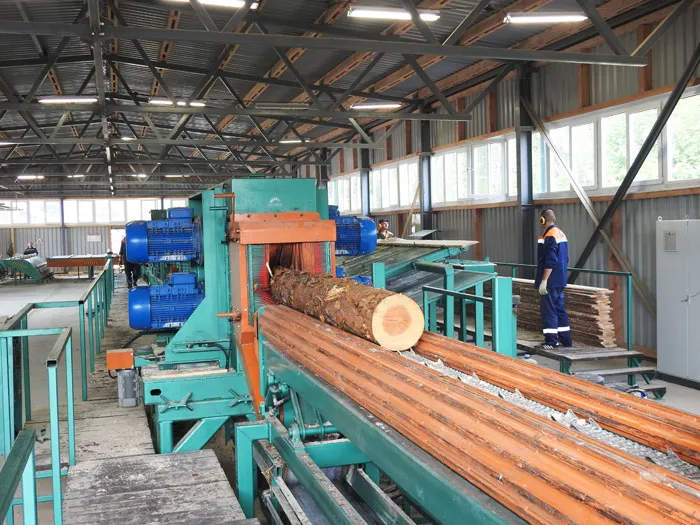 Новая деревообрабатывающая линия в ГЛХУ «Пружанский лесхоз». фото