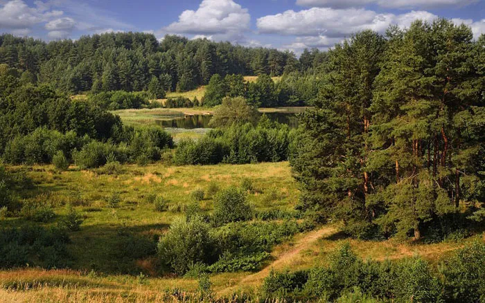 В Беларуси станет больше лесов и особо охраняемых природных территорий. фото