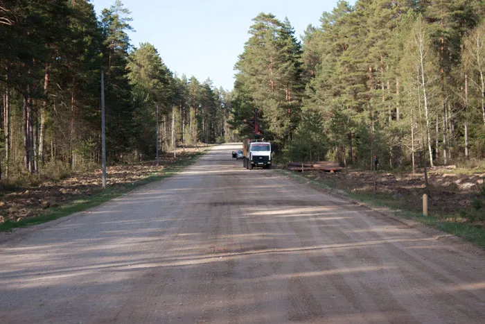  В этом году построено 100 км новых лесохозяйственных дорог. фото