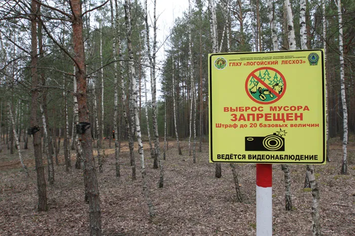 Система наблюдения за нарушителями в лесу приносит результаты. фото
