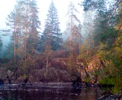 Белорусские лесоводы изучали особенности охоты в карельских лесах. фото