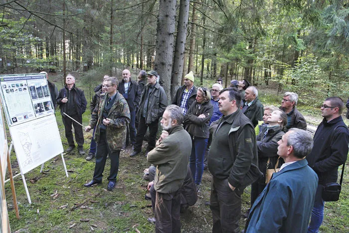 Польские лесоводы изучили опыт белорусских коллег. фото