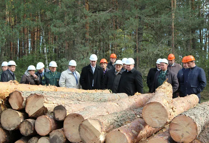 В Хойниках обсуждались актуальные вопросы организации безопасного труда в лесной отрасли. фото