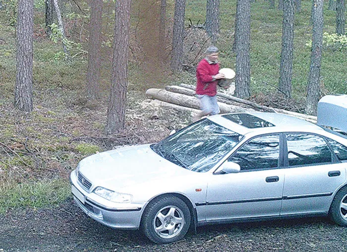 На территории Осовецкого лесничества фотоловушка помогла задержать похитителя древесины. фото