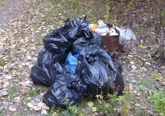 Жители Гродненской области приняли активное участие в акции «Чистый лес». фото