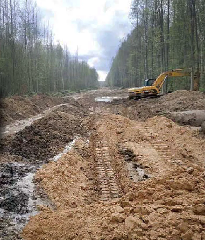 Строительство лесохозяйственной дороги в Краснопольском лесхозе. фото