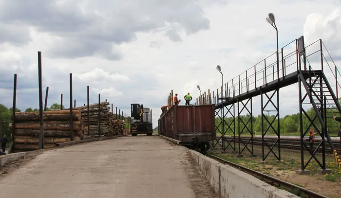 Ежемесячно Белыничский лесхоз отгружает 150 вагонов лесопродукции. фото