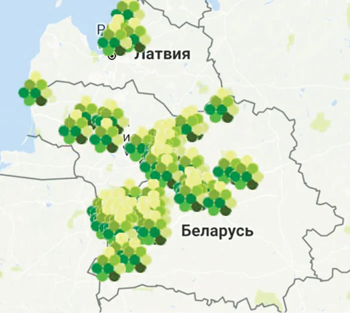 На карте участников международного проекта Беларусь выгодно отличается зеленым цветом. фото