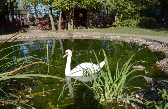 Буйничский зоосад вблизи Могилева помогает стать ближе к живой природе. фото