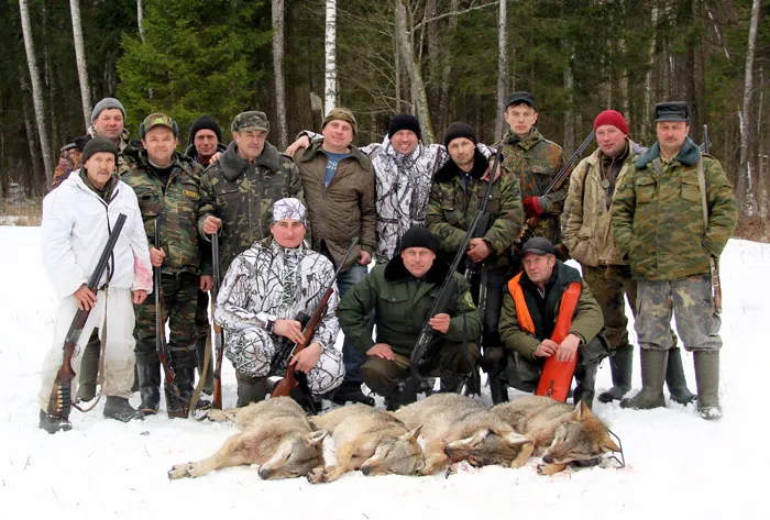 В Поставском лесоохотничьем хозяйстве — положительная динамика добычи волка. фото