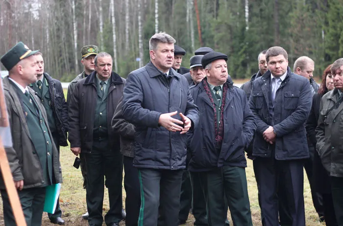 Быховский лесхоз стал площадкой для обсуждения новых методов ведения лесного хозяйства. фото