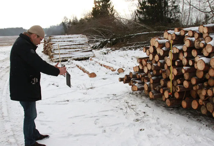 Белорусские лесоводы изучили возможности измерения лесоматериалов по фотографиям. фото