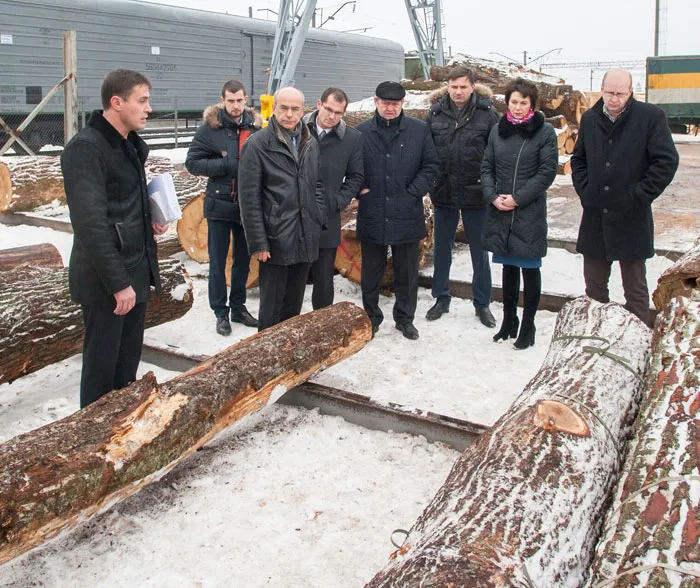 Паркетная фабрика «Косвик» провела семинар по переработке низкосортной твердолиственной древесины. фото