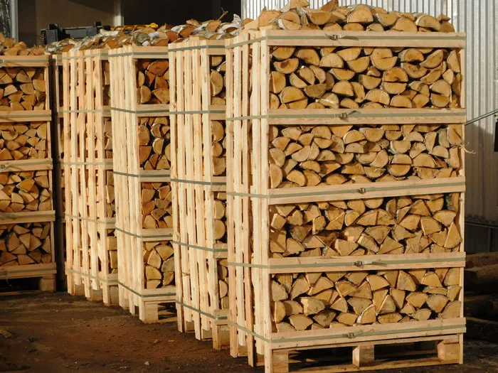 В перспективе объемы лесозаготовки будут возрастать, соответственно, увеличатся и объемы производства древесного топлива. фото