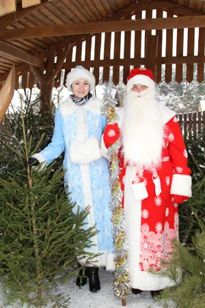 Дед Мороз и Снегурочка встречают покупателей елочек. фото