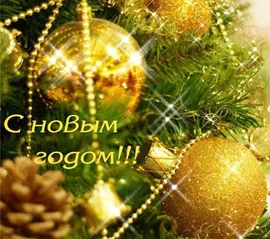 Поздравление министра лесного хозяйства Михаила Амельяновича с Новым годом и Рождеством. фото