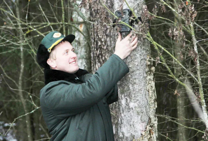 Камеры фотофиксации используют и для охраны новогодних деревьев. фото