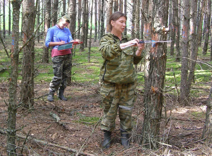 Только в 1-й Минской лесоустроительной экспедиции трудятся женщины-таксаторы. фото