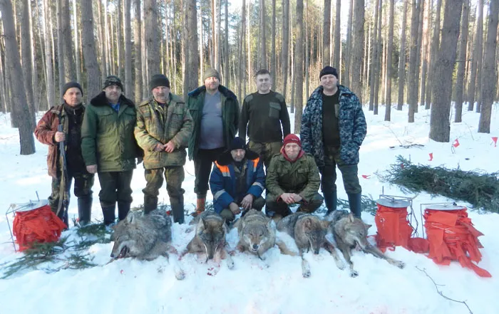 Команда работников Телеханского лесхоза добыла пятерых волков. фото