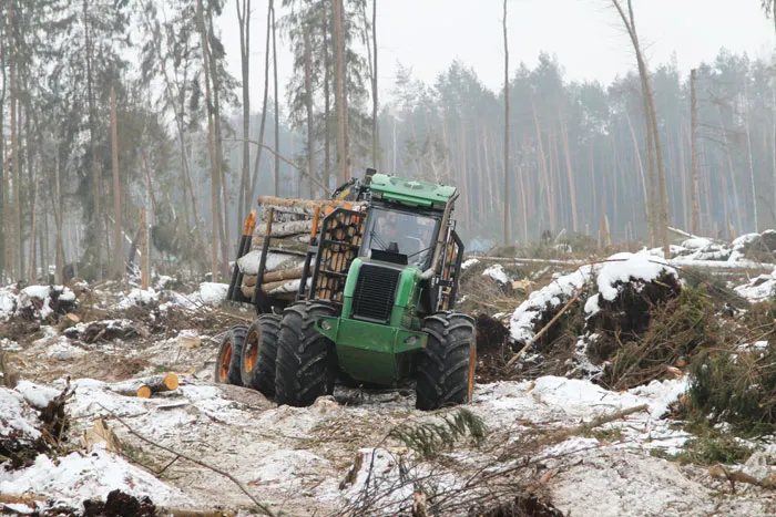 Бригады Березинского лесхоза помогают коллегам разрабатывать труднодоступные участки. фото