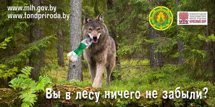 Звери научат белорусов не мусорить в лесу. фото