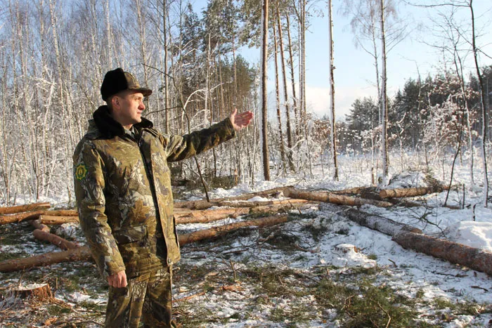 Александр Старовойтов, главный лесничий Калинковичского лесхоза. фото