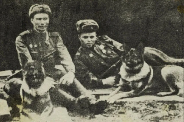 Овчарка Дина с А.Филатовым (справа). фото