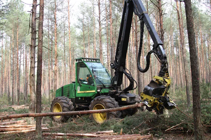 Растут объемы лесозаготовок и актуальность государственно-частного партнерства. фото