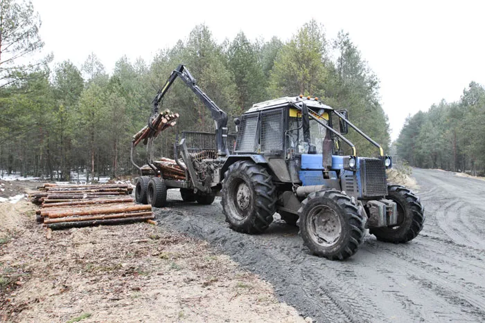 При строительстве лесной дороги в ГЛХУ «Полесский лесхоз» было выкопано 11 авиабомб. фото