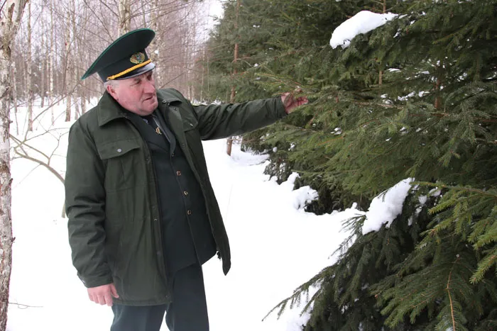 Лесничий Владимир СВИЩЕВ. фото