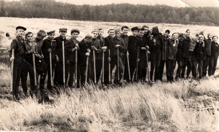 Школьное лесничество Гожской средней школы, весна 1971 года. Шестой слева — Александр Витковский. фото